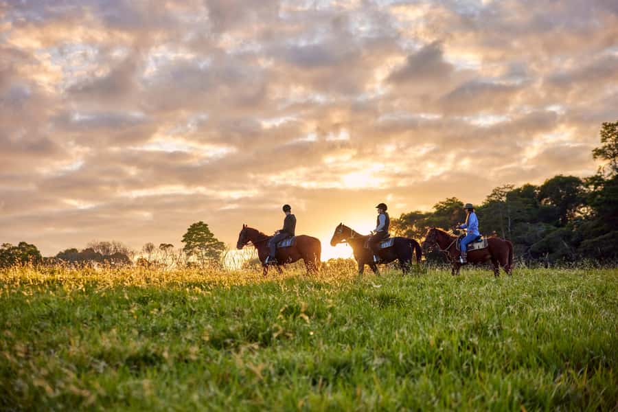 Kuranda: 60 minute Guided Horse Trail Ride & Petting Farm - The 10:10am safety briefing