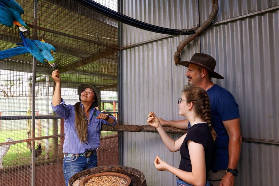 Kuranda: 60 minute Guided Horse Trail Ride & Petting Farm - From the saddle to the petting farm