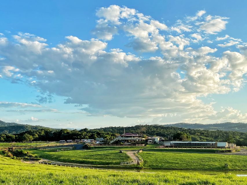 Kuranda: 60 minute Guided Horse Trail Ride & Petting Farm - Who will enjoy this horse ride most