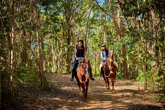 Kuranda 60 minute Horse Trail Ride and Petting Farm - A Horse Ride in Kuranda’s Green Hills