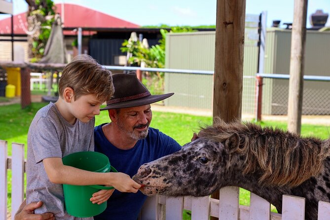 Kuranda 60 minute Horse Trail Ride and Petting Farm - How This Fits Into a Kuranda Day