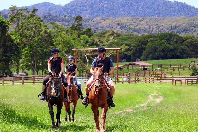 Kuranda 60 minute Horse Trail Ride and Petting Farm - Following the Paddocks and Rainforest Tracks