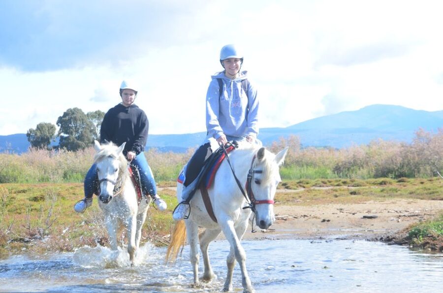 Kusadasi: Beach and Forest Horse Riding Tour - Meeting Your Horse and Getting Comfortable
