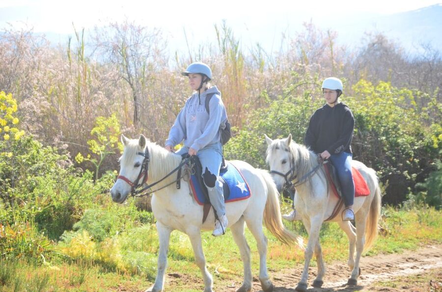 Kusadasi: Beach and Forest Horse Riding Tour - Reaching Pamucak Beach on Horseback