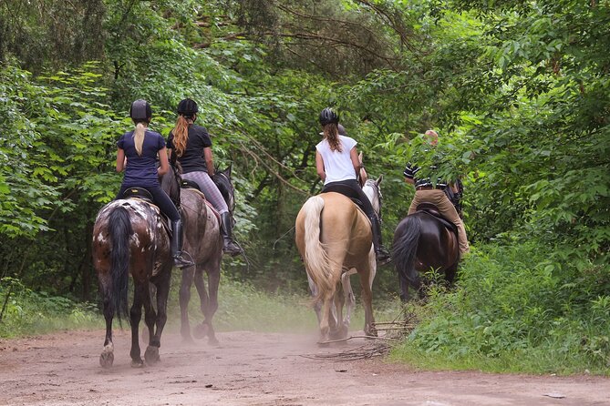 Kusadasi Horse Riding Beach and Forest options with Transfer - Key points to know before you book