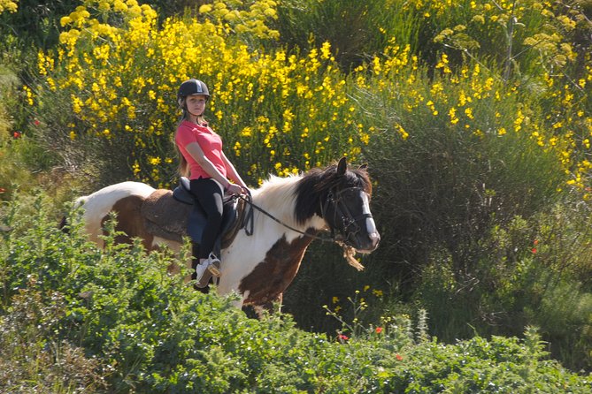 Kusadasi Horse Riding Beach and Forest options with Transfer - Who will enjoy this ride most