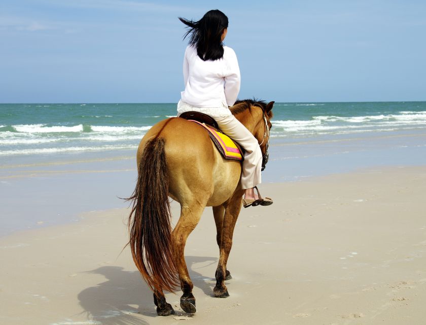 Kusadasi: Horse Riding Beach and Forest w/Transfer - Riding Beyond Kusadasi’s Waterfront