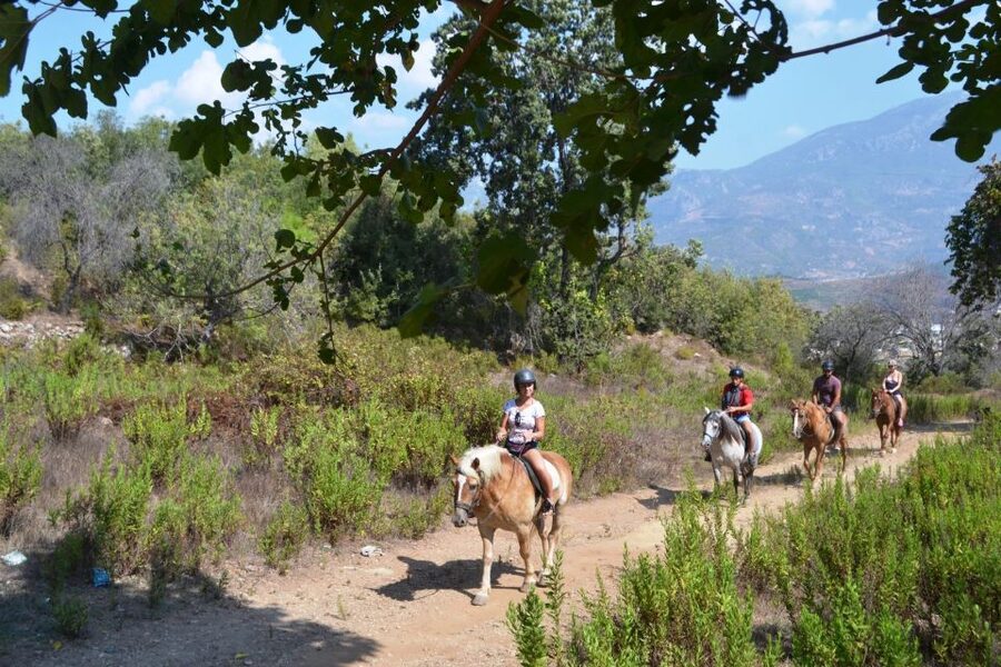 Kusadasi: Horse Riding Beach and Forest w/Transfer - From Hotel Pickup to the Horse Ranch