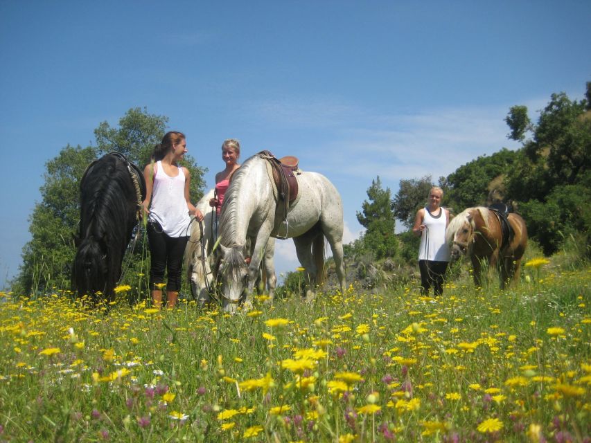 Kusadasi: Horse Riding Beach and Forest w/Transfer - What the $65 Price Covers