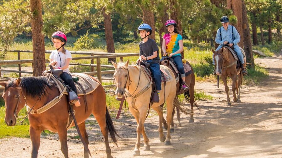 Kusadasi: Horse Riding Beach and Forest w/Transfer - Pine Forests, Orange Groves, and Village Views