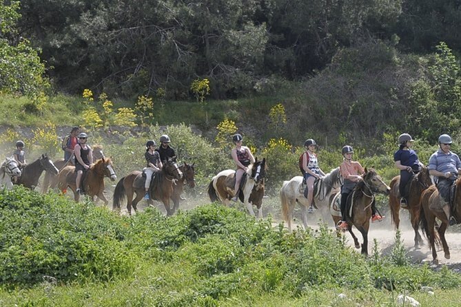 Kusadasi Horse Riding On Beach And Through The River - Sandy trails and the promised river section