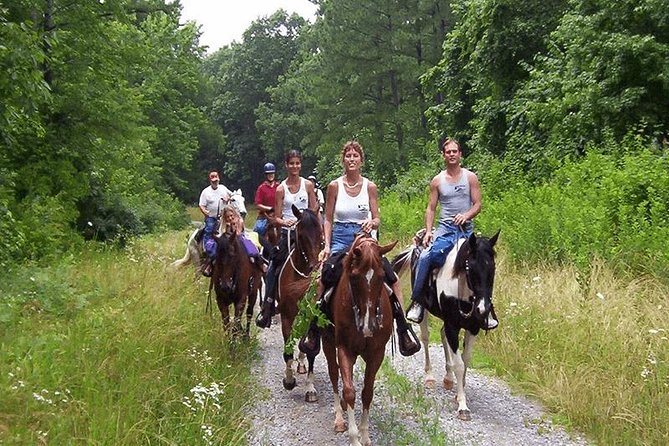 Kusadasi Horseback Riding - Hotel pickup and a small group