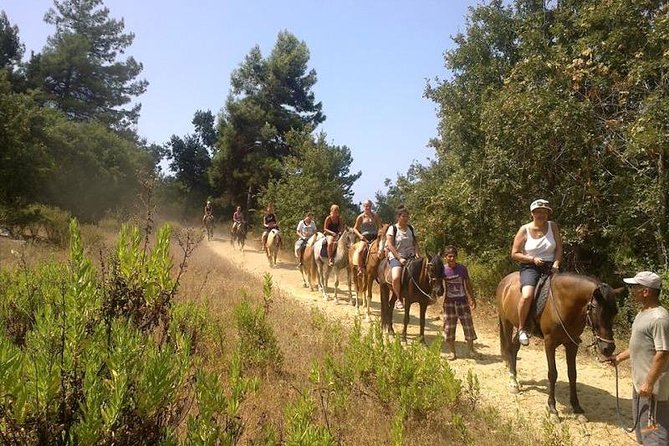 Kusadasi Horseback Riding - Is $48.24 a fair price?