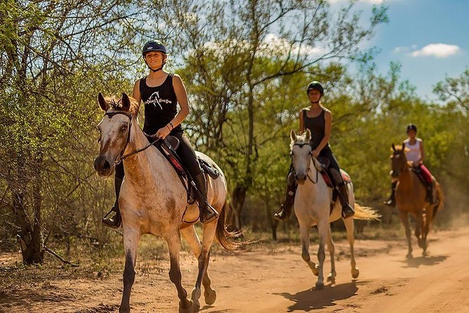 Kusadasi Horseback Riding - Who should book this ride?