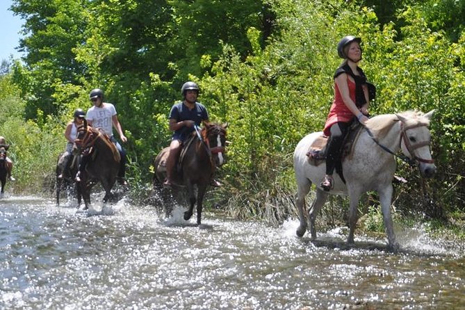 Kusadasi Horseback Riding - Calm horses and mixed riding ability