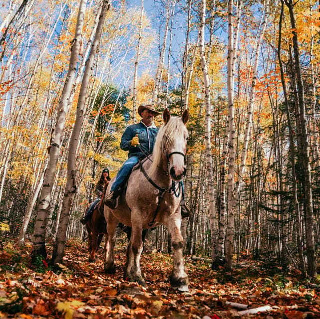 La Bleuetière: A charming introduction to horseback riding - Understanding the one-hour timing