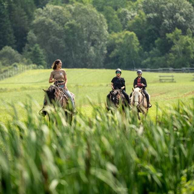 La Bleuetière: A charming introduction to horseback riding - Who should book La Bleuetière