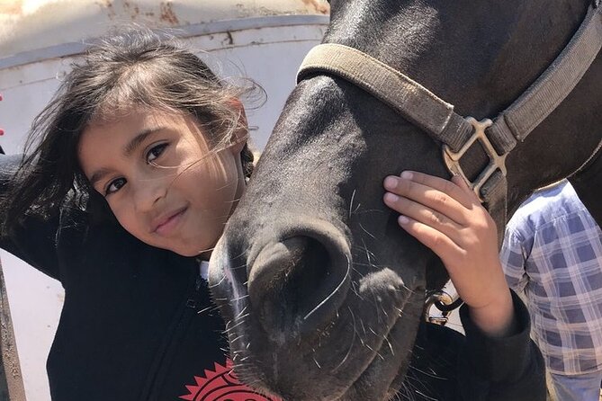 La Bufadora, Markets & Horseback Beach Ride Shore Excursion - Who should choose this Ensenada outing