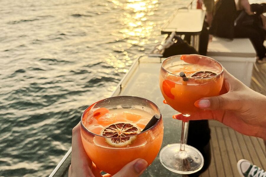 La Grande Motte: Camargue Sunset Catamaran Tour with a Drink - Should you book the La Grande Motte sunset cruise?