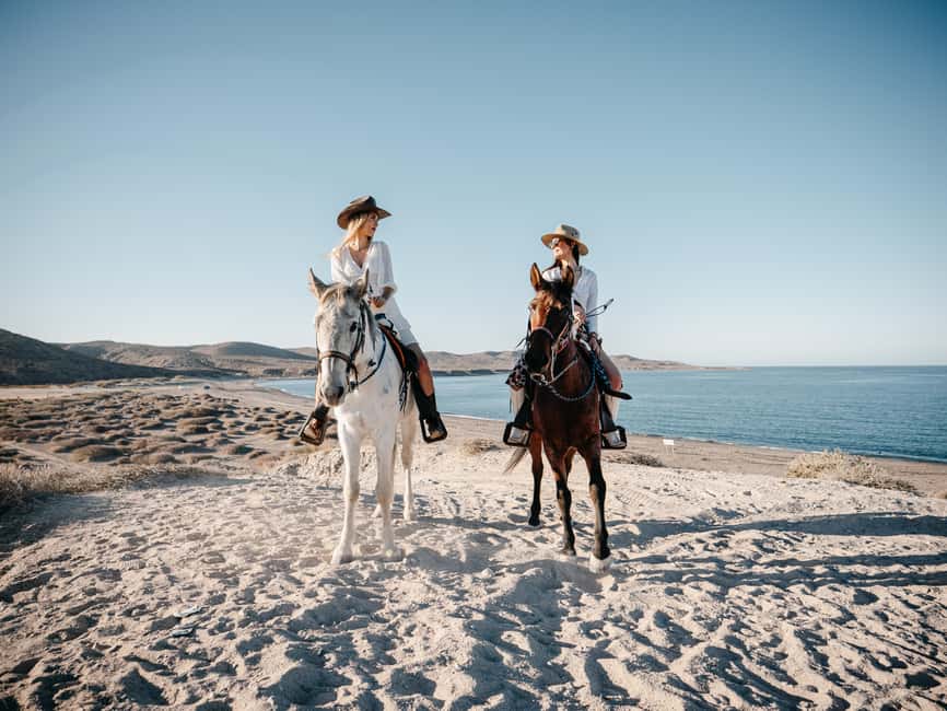 La Paz: Scenic Beach Horseback Ride - Key points to know before you book