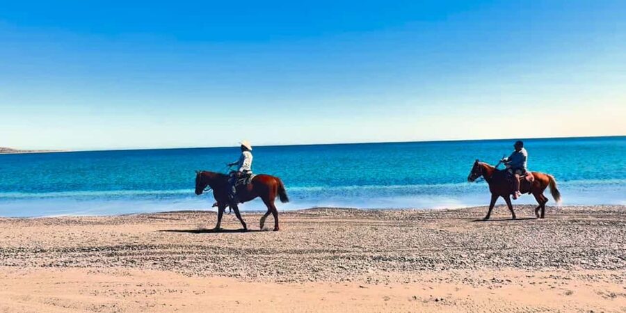 La Paz: Scenic Beach Horseback Ride - The beach section and the best views