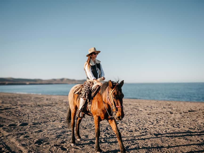 La Paz: Scenic Beach Horseback Ride - Drinks, desert heat, and what to wear
