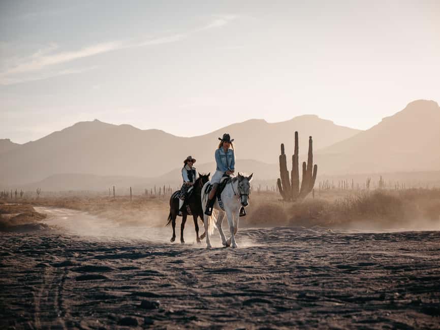 La Paz: Scenic Beach Horseback Ride - Is $145 a fair price?