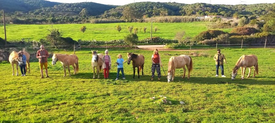 Lagos: A walk with a rescued horse at the sanctuary - Why walking beside a rescued horse feels different