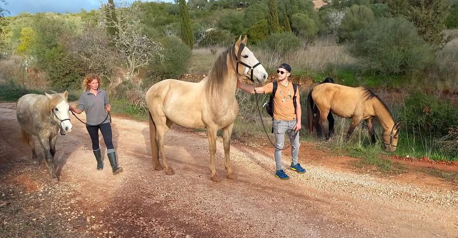 Lagos: A walk with a rescued horse at the sanctuary - What the off-grid setting adds