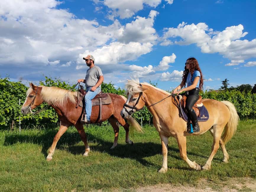 Lake Garda: 2 hours Horseback Ride in the Countryside - Meeting your horse at A.S.D. CS Ranch Eventi