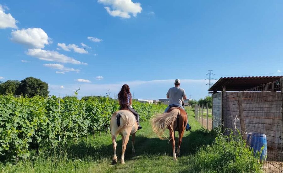 Lake Garda: 2 hours Horseback Ride in the Countryside - How good is the $93 price?