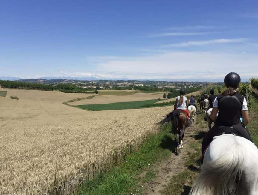 Langhe: Horse Riding in the Vineyards - Key points to know before riding