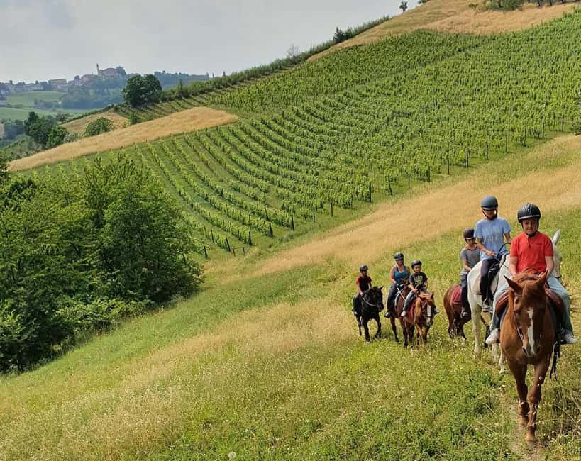 Langhe: Horse Riding in the Vineyards - Setting out from San Marzano Oliveto
