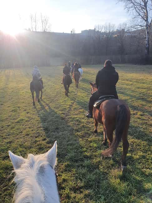 Langhe: Horse Riding in the Vineyards - Families and children from age eight