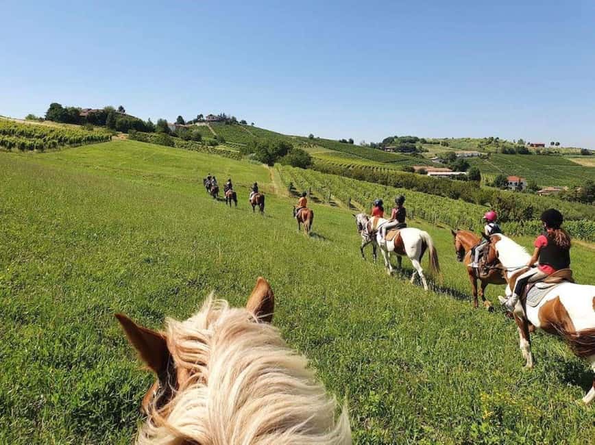 Langhe: Horse Riding in the Vineyards - What the one-hour ride is really like