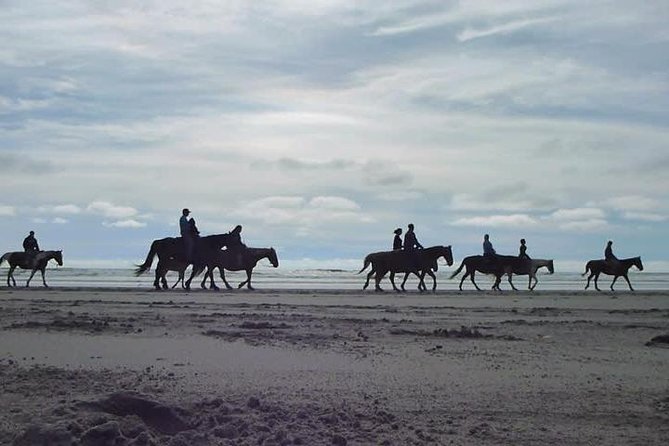Las cañadas ecopark and horseback riding private tour - Beach horseback riding, with realistic expectations