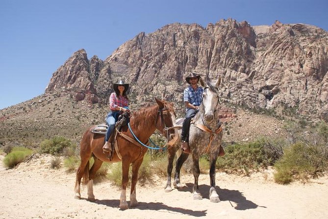 Las Vegas Horseback Ride with Meal - Key points to know before you book