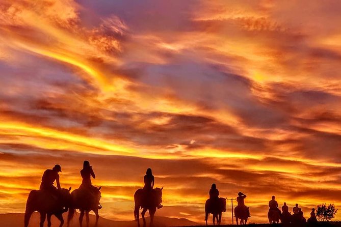 Las Vegas Horseback Ride with Meal - Price, time, and what you get for $129.99