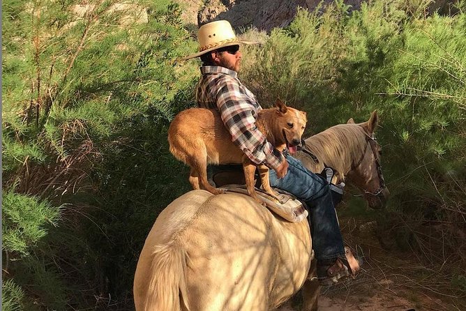 Las Vegas Horseback Ride with Meal - Desert scenery, old trails, and a different side of Nevada