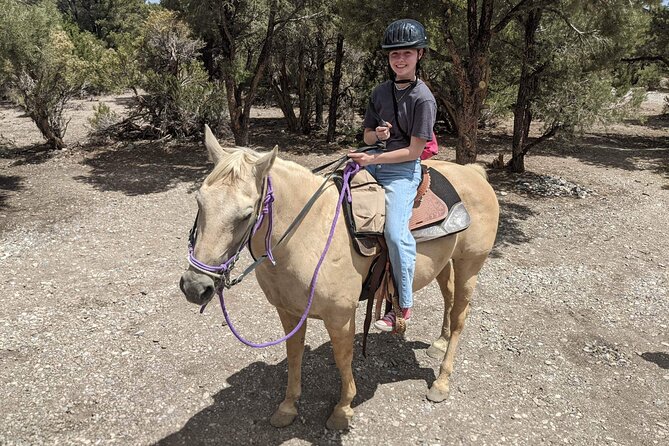 Las Vegas Horseback Riding Adventure - Rolling hills, desert sand, and mountain views