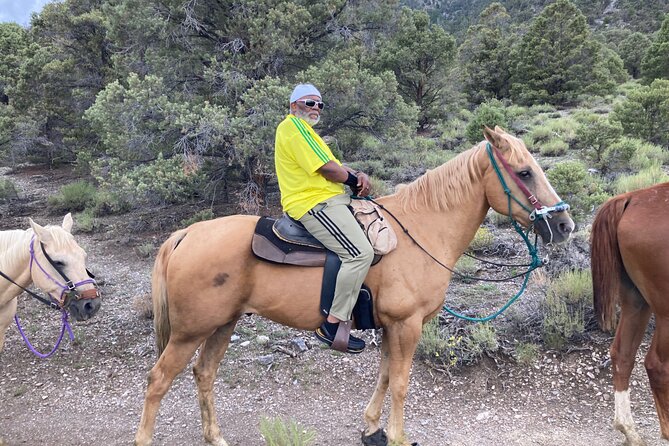 Las Vegas Horseback Riding Adventure - Who will enjoy this ride most?