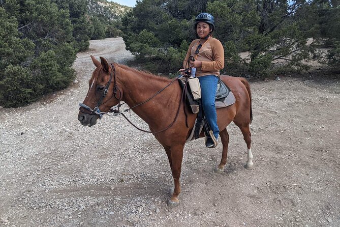 Las Vegas Horseback Riding Adventure - Guides who help first-timers relax