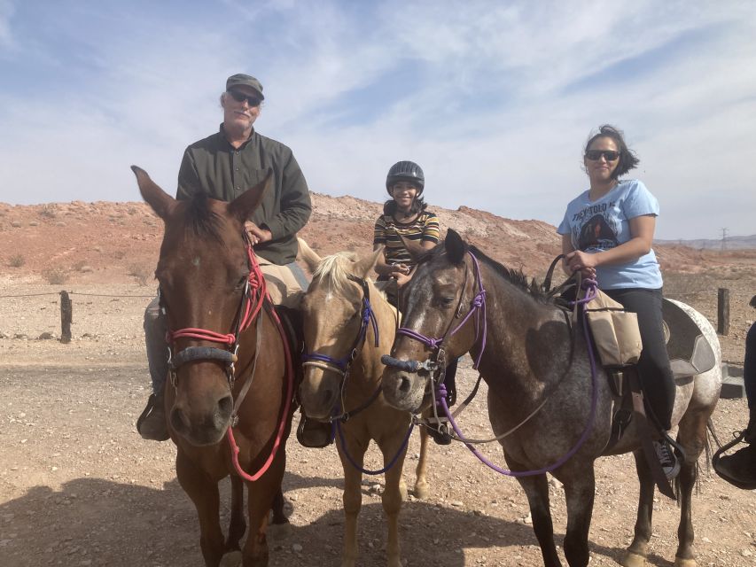 Las Vegas: Horseback Riding Tour - A steady 90-minute ride through the desert