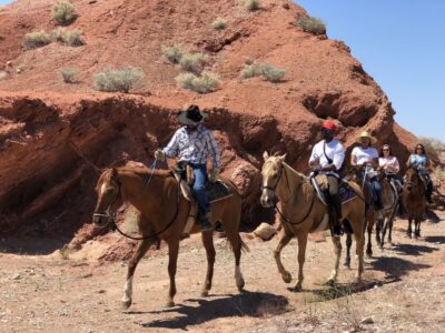 Horseback Riding Tour