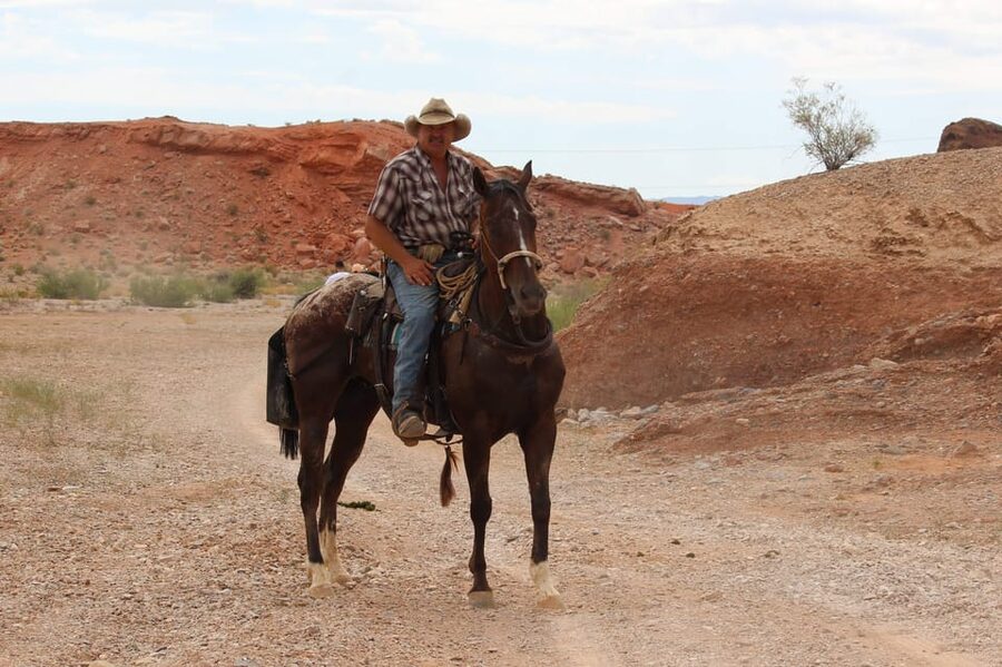 Las Vegas: Horseback Riding Tour with Lunch - Wildlife spotting from the saddle