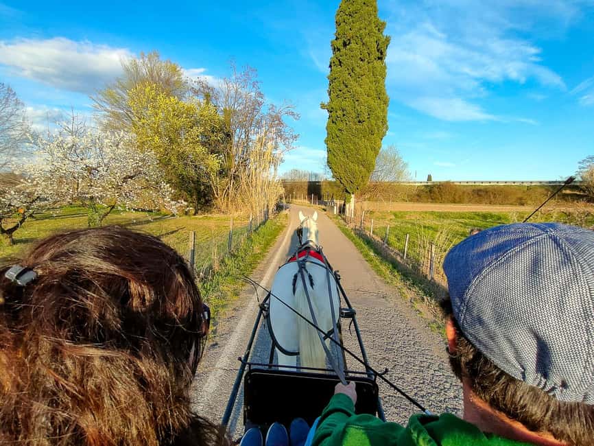 Lazise: horse carriage tour with tasting of local products - Key points to know before booking