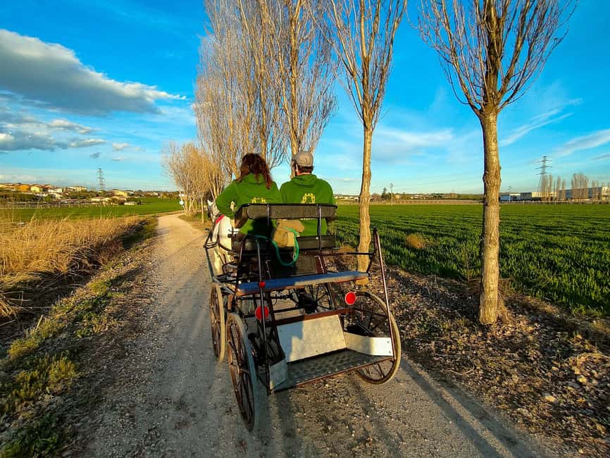 Lazise: horse carriage tour with tasting of local products - Arriving at the family apiary
