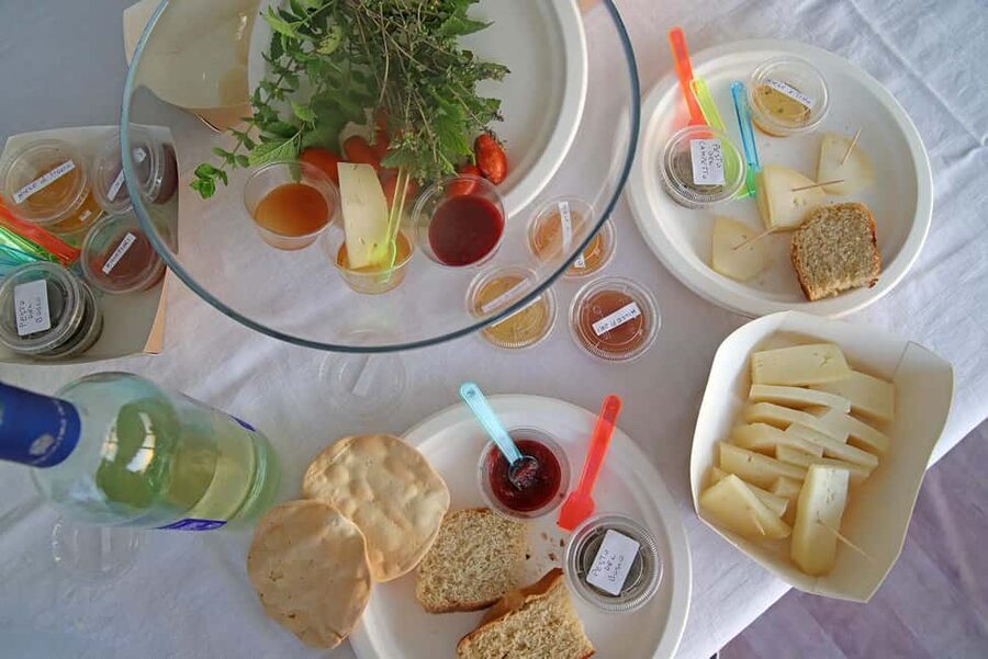 Lazise: horse carriage tour with tasting of local products - The value of meeting local producers