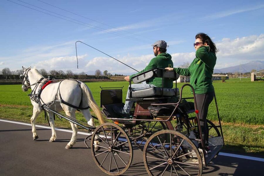 Lazise: horse carriage tour with tasting of local products - Timing, weather, and comfort