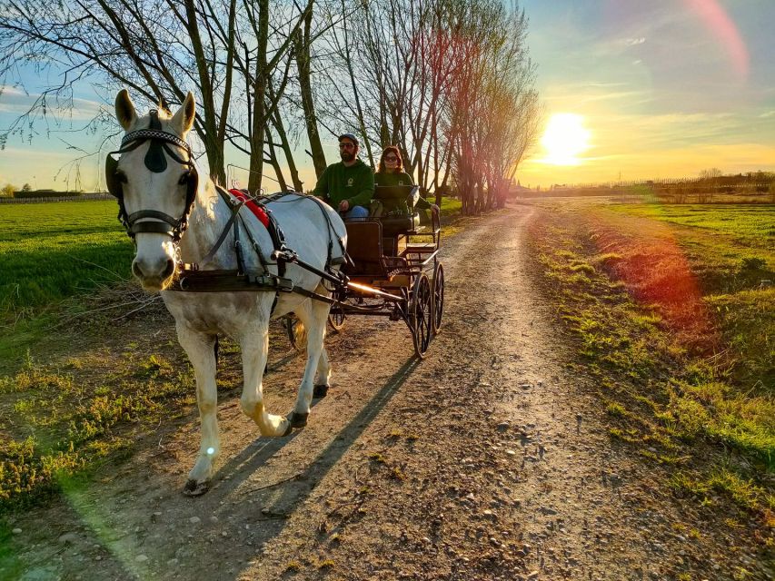 Lazise: horse carriage tour with tasting of local products - Who will enjoy this experience most